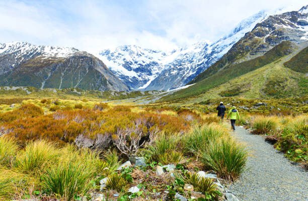 New Zealand — Fiords, glaciers, empty roads.